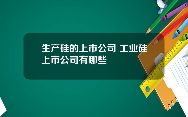 生产硅的上市公司 工业硅上市公司有哪些